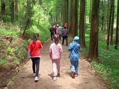 -罗田薄刀峰风景区