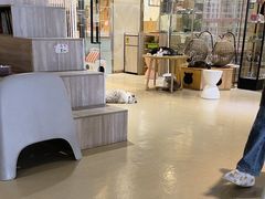 -藏猫猫咖啡主题馆(中央大道店)