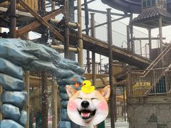 -重庆海昌加勒比海水世界