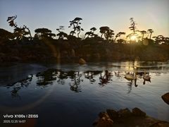 -罗红摄影艺术馆