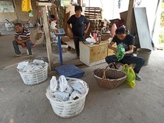 -马陆小张葡萄园农家乐