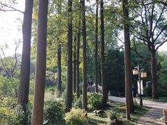 -上海醉白池公园