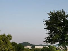 -羊山湖公园