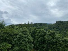 -中铁花水湾温泉酒店(大邑店)