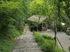 -都江堰中华大熊猫苑