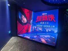 -SFC动漫主题影院(美罗城店)