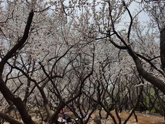 -前关湿地公园