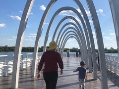 -大兴滨河森林公园