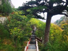 -圣莲山风景区