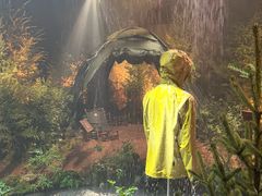 -精绝七日-新疆尼雅遗址数字大展【拉法耶文化艺术中心】