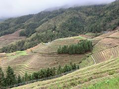 -龙脊梯田