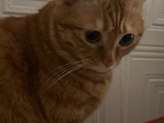 -新荟城(望京店)