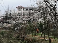 -樱桃山旅游景区