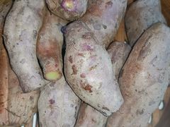 -顺德了能馆(虎门店)