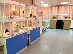 -翊宠yipet猫狗购宠庄园犬舍•猫舍