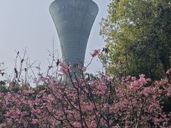 -狐尾山公园