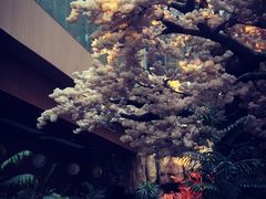 -嘉悦汗蒸时代(曙光路店)