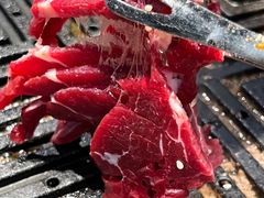 -齐函杨佳清真烤肉(鑫海店)