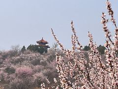 -白水寺森林公园