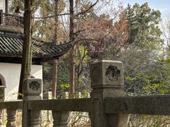 -汇龙潭