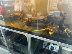 -灵龟之家百象馆(百象馆联合旗舰店)