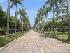 -厦门大学(思明校区)