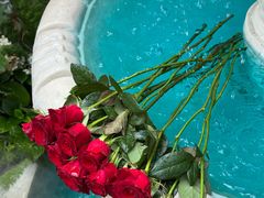 -Mark&Mars Restaurant