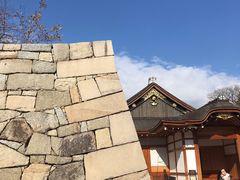 -名古屋城