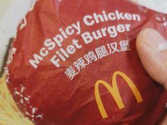 -麦当劳(衡阳中心汽车站店)