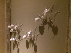 -三清山希尔顿度假酒店