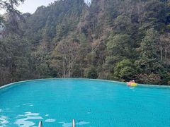 -炎陵县神农谷国家森林公园
