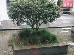 -悦兮半岛温泉度假酒店·餐厅部