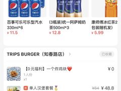 -TRIPS BURGER(大钟寺店)