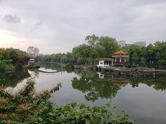 -雨湖公园