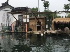 -湖鲜楼