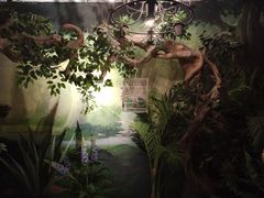 -zoonana室内动物园(东方福来德店)