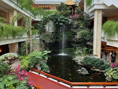 -白天鹅宾馆-宏图府餐厅