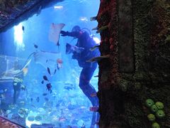 -沈阳海洋探索中心