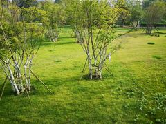 -白鹭湾湿地公园