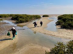 -北海金海湾红树林生态旅游区