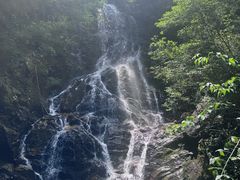 -江西阳明山国家森林公园