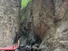 -牛背梁国家森林公园
