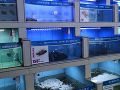 零售区-海市蜃楼花园主题餐厅(石顶店)