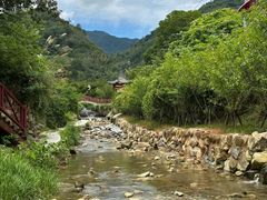 -小洞天柴火土菜馆