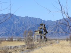 -野鸭湖国家湿地公园