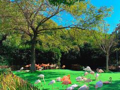 -上海野生动物园