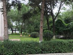 -黑龙江中医药大学