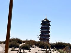 -金塔沙漠胡杨林景区
