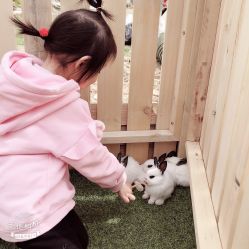 -萌宠亲子动物乐园(槐房万达店)