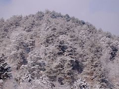 -四明山国家森林公园